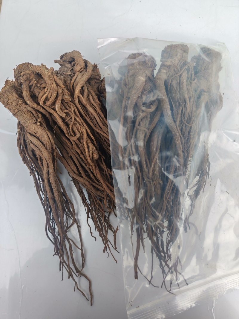 当归整根甘肃岷县当归个子干货规格齐全大货供应诚信