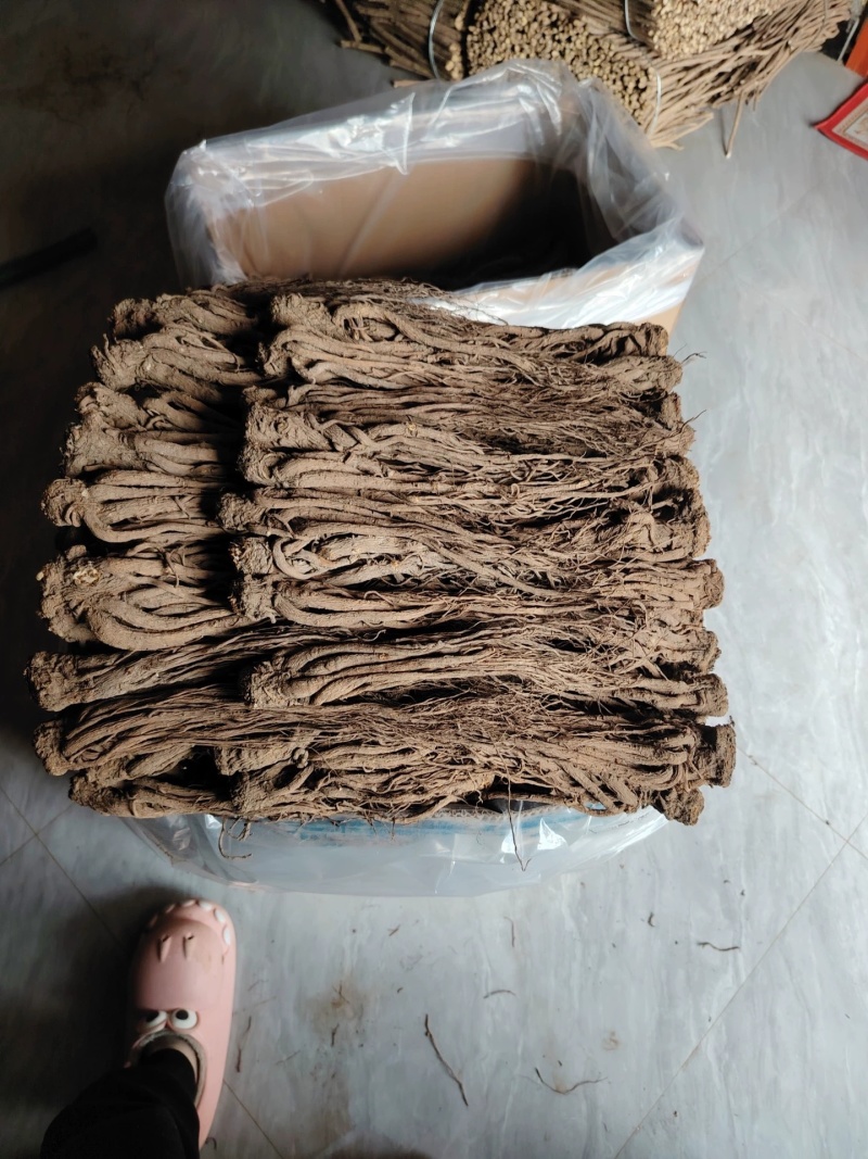 当归整根甘肃岷县当归个子干货规格齐全大货供应诚信