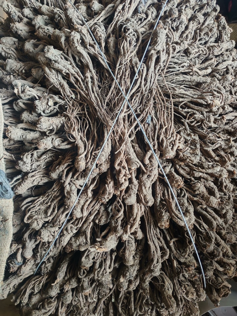 当归整根甘肃岷县当归个子干货规格齐全大货供应诚信