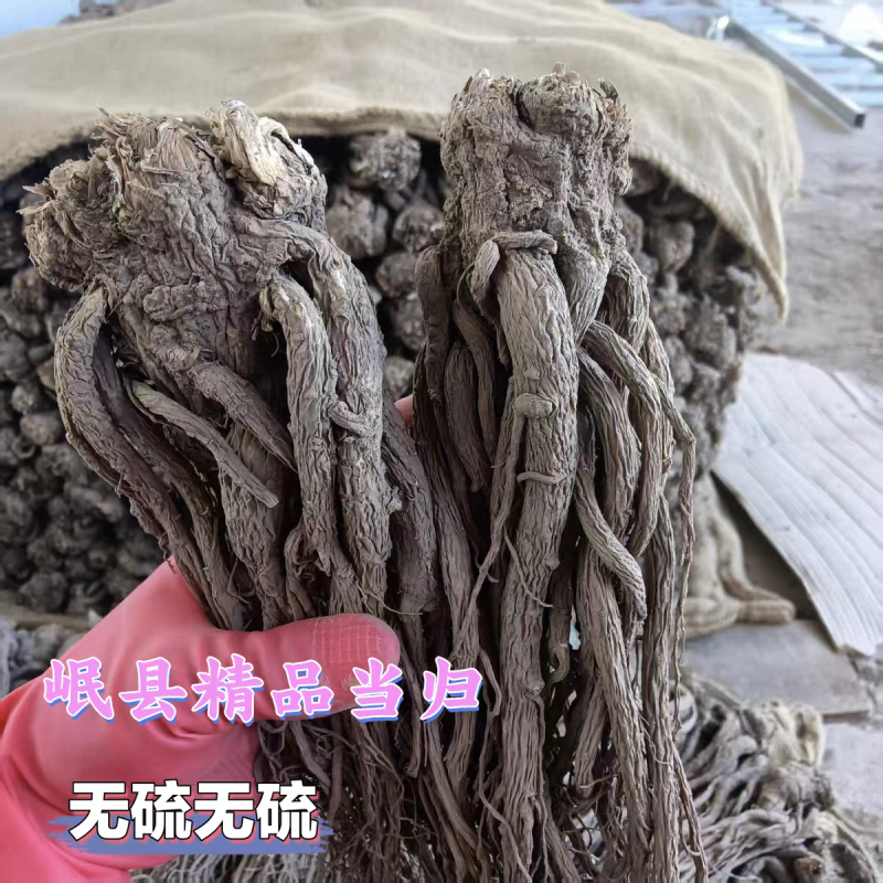 当归整根甘肃岷县当归个子干货规格齐全大货供应诚信
