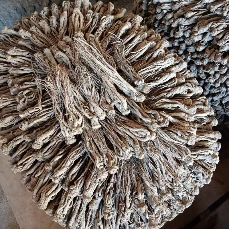 当归整根甘肃岷县当归个子干货规格齐全大货供应诚信