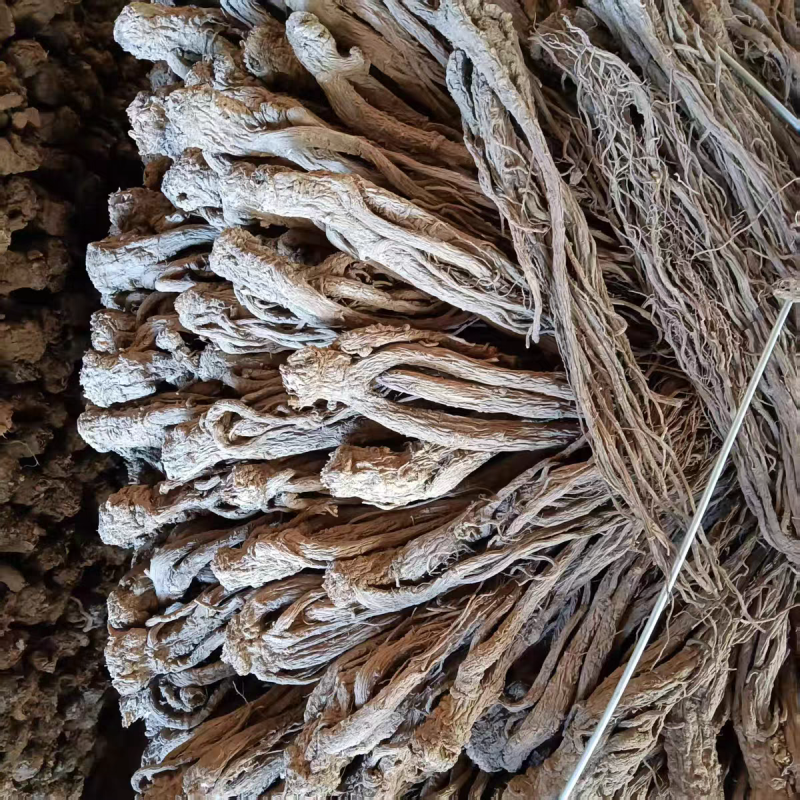 当归整根甘肃岷县当归个子干货规格齐全大货供应诚信