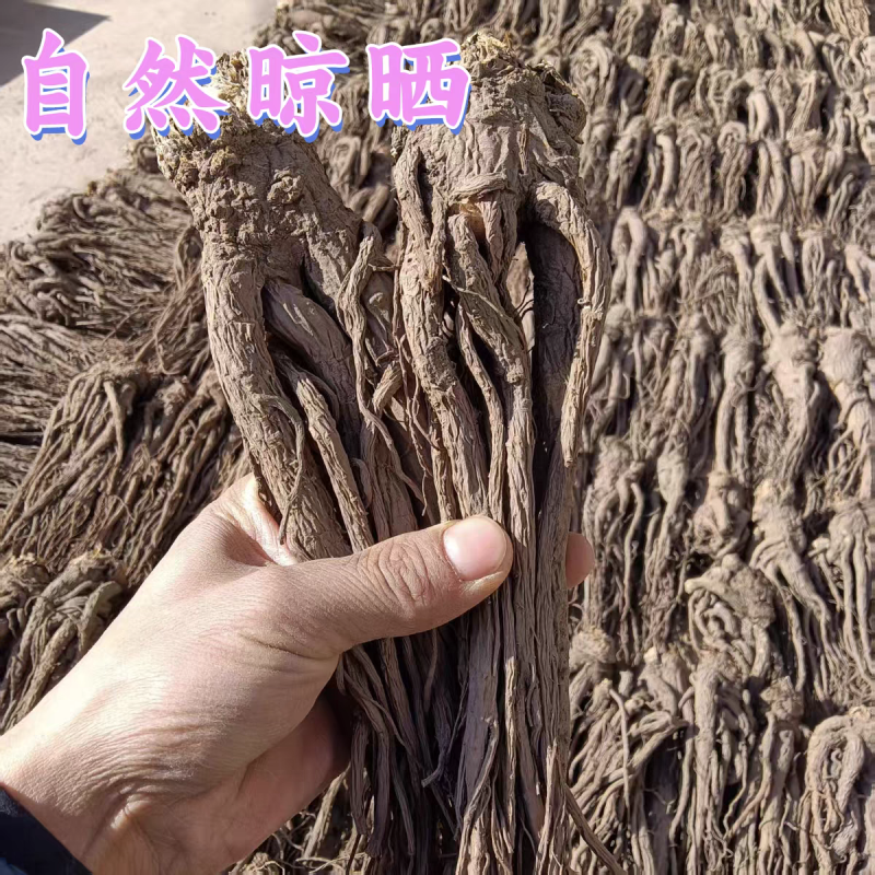 当归整根甘肃岷县当归个子干货规格齐全大货供应诚信