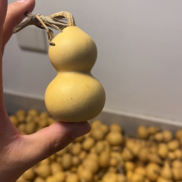 文玩葫芦，小美国