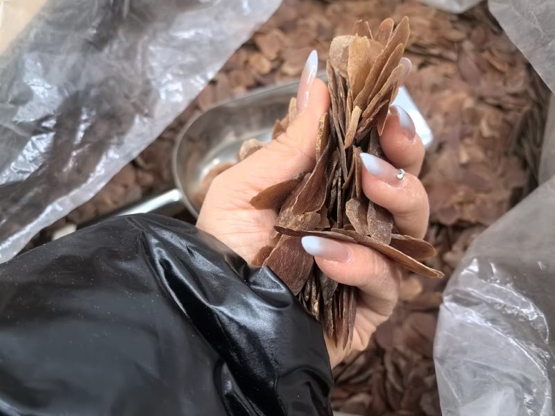 无糖红参片包邮人参吉林长白山林下移山精品一件代发