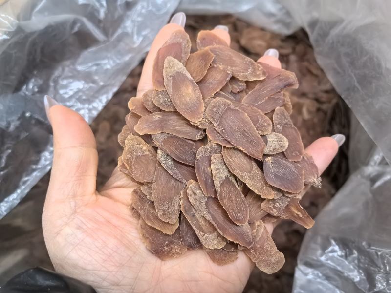 无糖红参片包邮人参吉林长白山林下移山精品一件代发