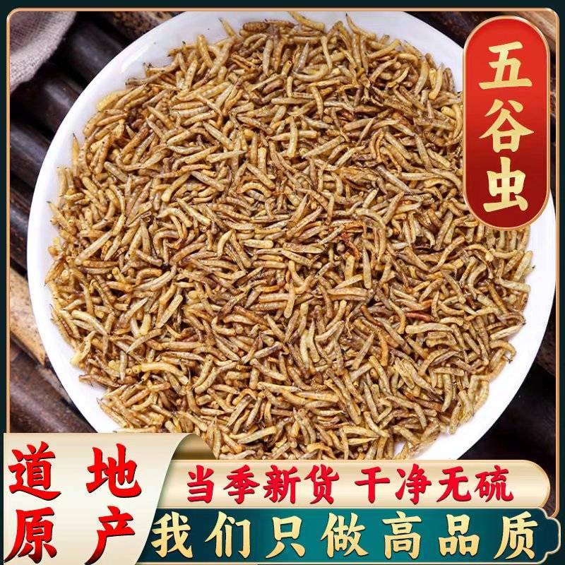 五谷虫蝇蛆干蛆虫新货无硫净货大货供应合作共赢