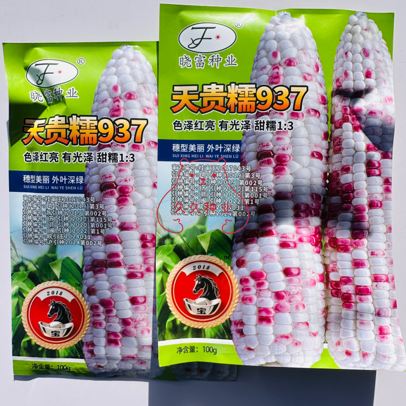 天贵糯937彩糯玉米种子甜糯比1比3甜糯鲜香口感好大棒