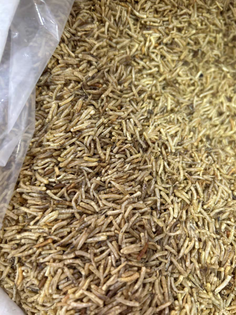 五谷虫蝇蛆干蛆虫新货无硫净货大货供应合作共赢