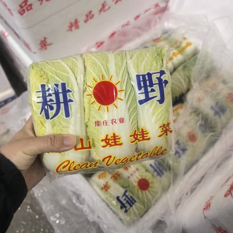 娃娃菜