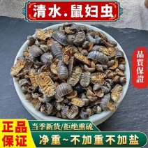 鼠妇虫中药材西瓜虫潮虫地虱子大货供应诚信经营