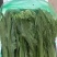 油麦菜