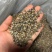 鼠妇虫中药材西瓜虫潮虫地虱子大货供应诚信经营