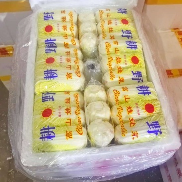 娃娃菜