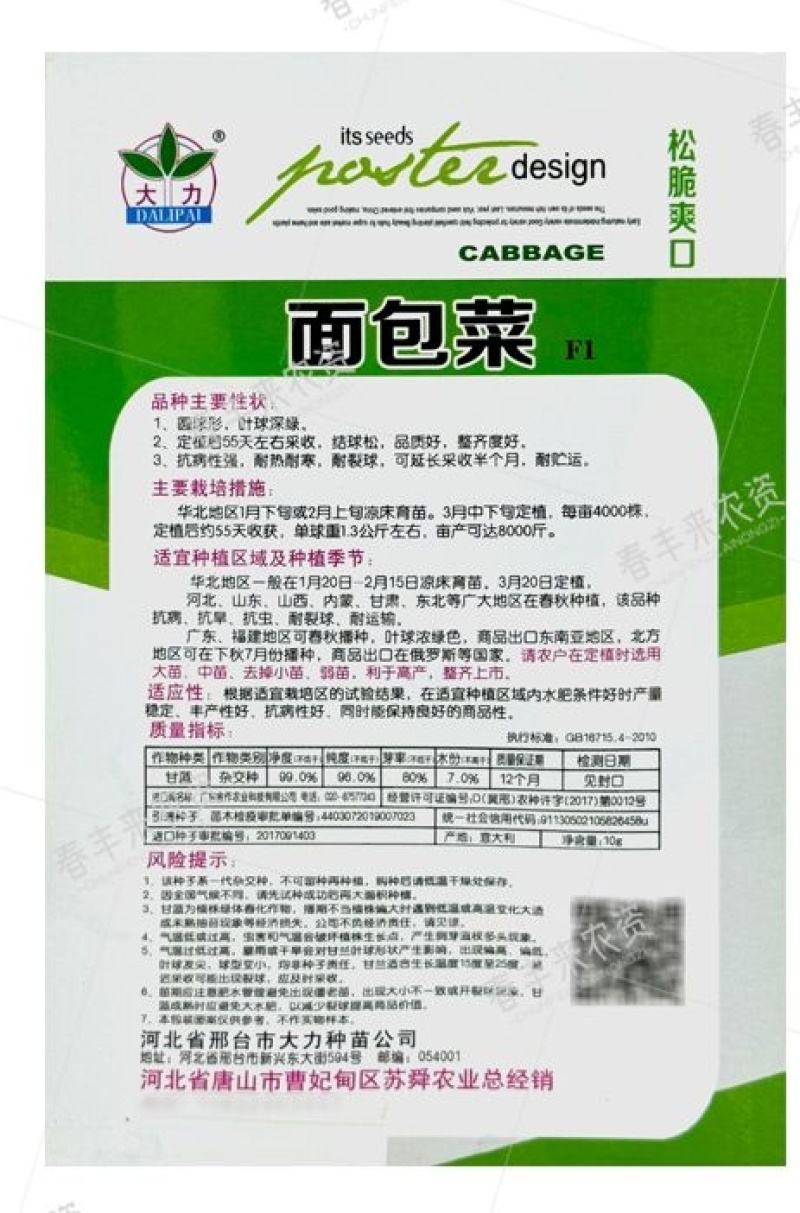 米兰绿甘蓝种子抗病抗旱春秋播种原装甘蓝种子