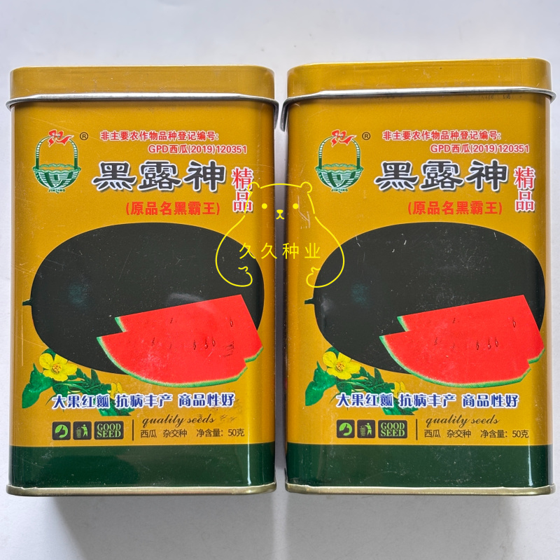 黑露神西瓜种子椭圆形黑皮红瓤薄皮大果西瓜种籽耐重茬