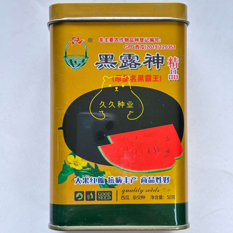 黑露神西瓜种子椭圆形黑皮红瓤薄皮大果西瓜种籽耐重茬