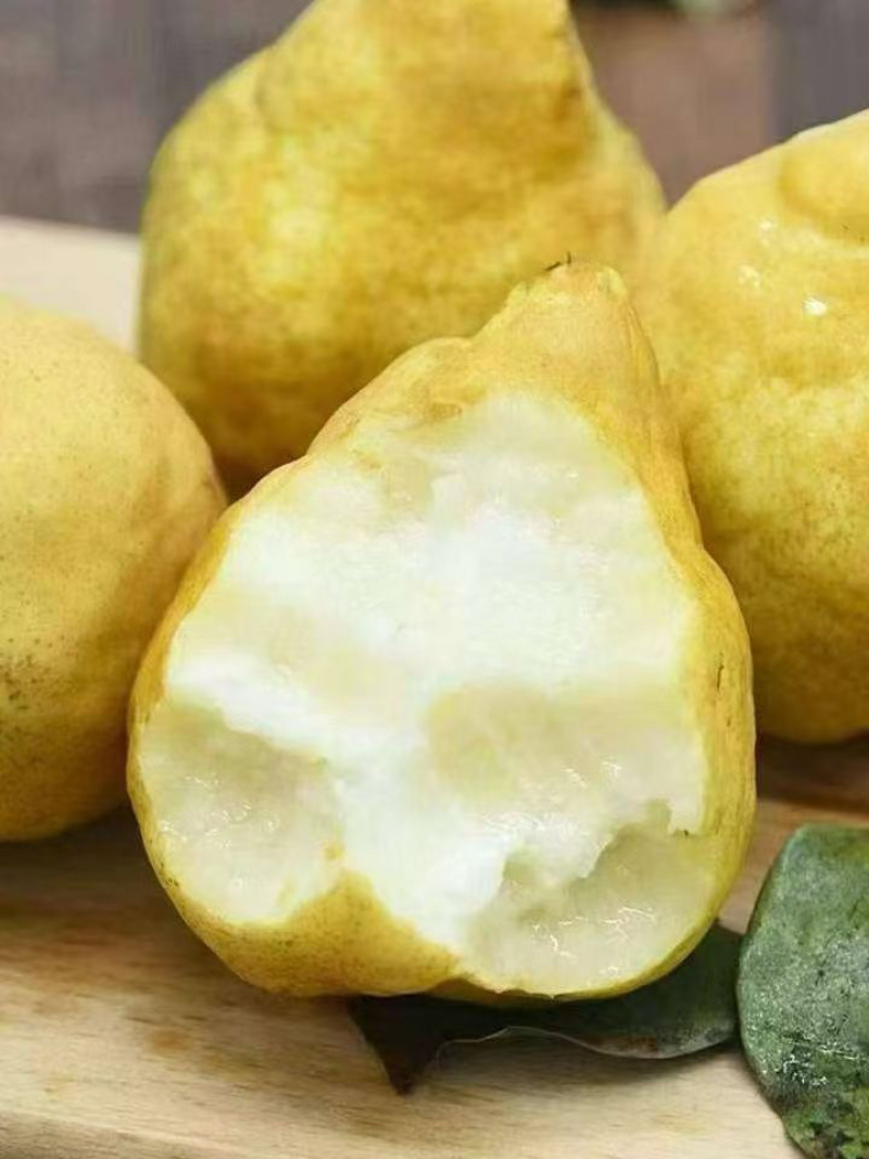 丑梨像伏梨一样，放软才好吃冰淇淋口感