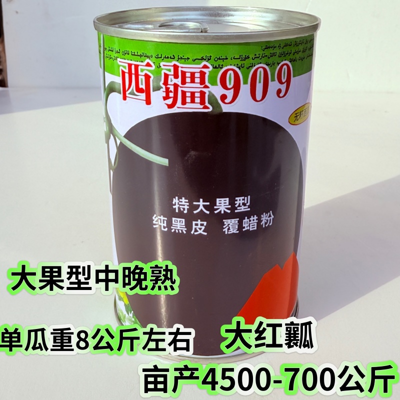 西疆909特大黑皮红瓤无籽中早晚熟西瓜种子耐病抗逆性强