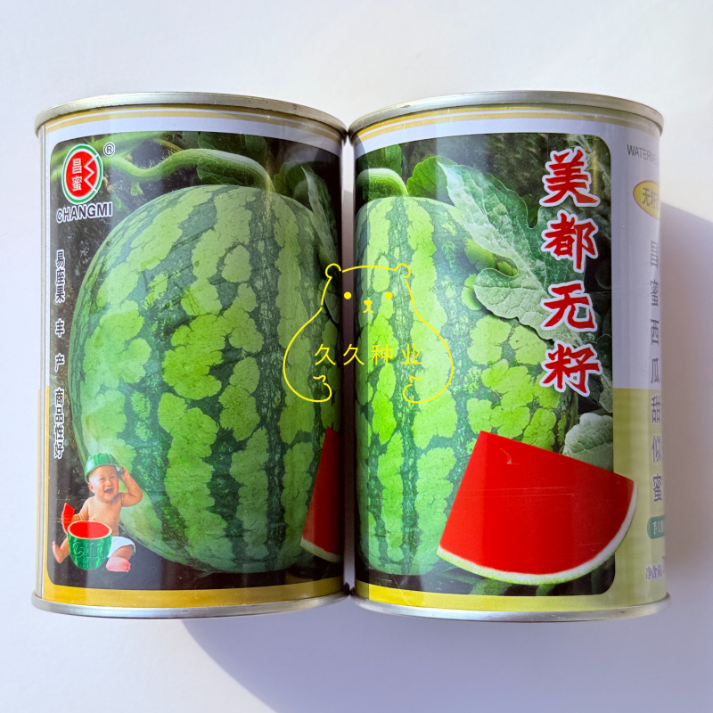 美都无籽西瓜种子抗病丰产易坐果西瓜种子大田种植西瓜种