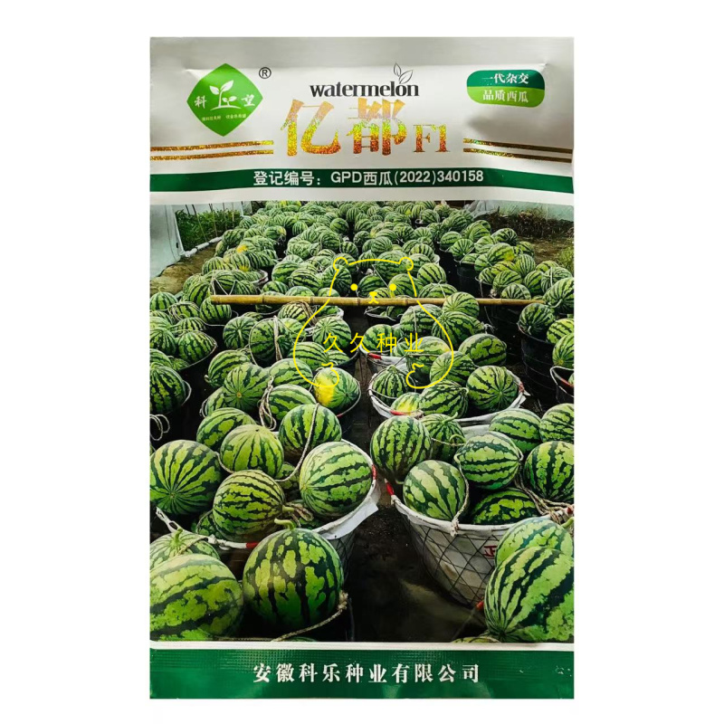 科乐亿都早熟甜而多汁早春大棚40天成熟比美都还好吃的西瓜