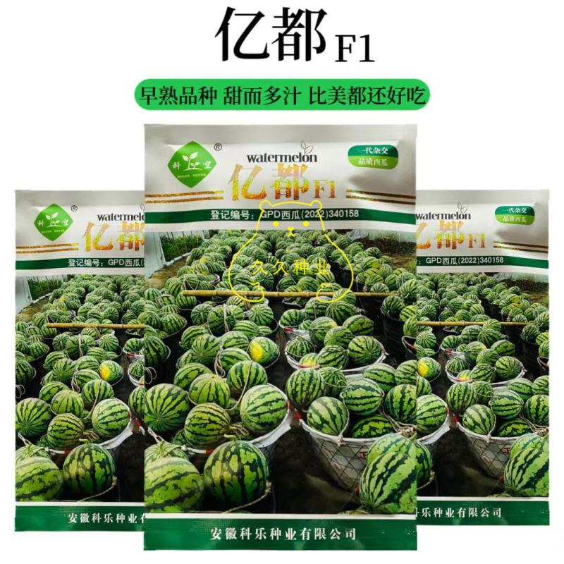 科乐亿都早熟甜而多汁早春大棚40天成熟比美都还好吃的西瓜