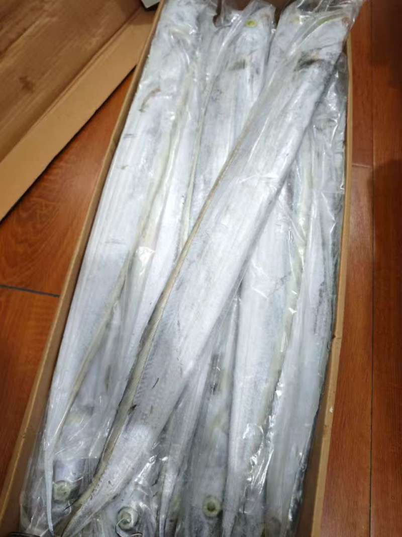 印尼AAA钓带网带阿曼钓带网带质量好价格优