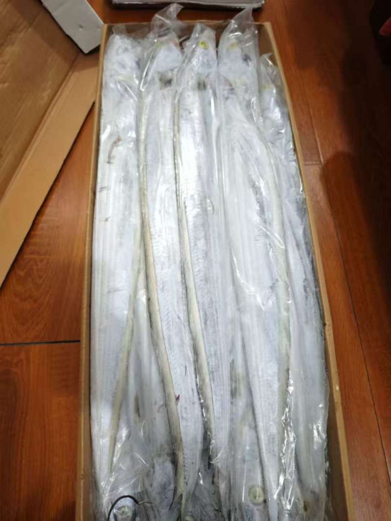 印尼AAA钓带网带阿曼钓带网带质量好价格优