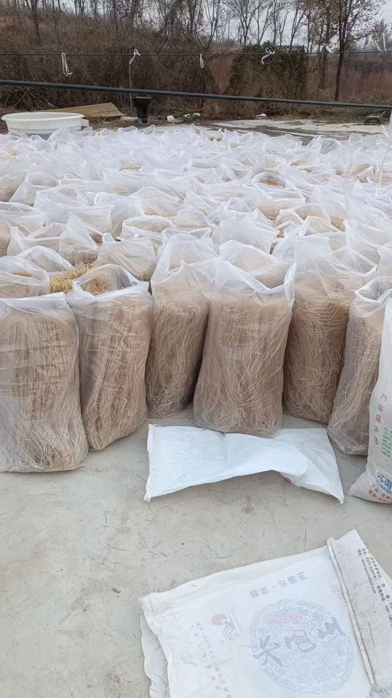 自家纯正红薯粉条，假一赔十，欢迎来电选购