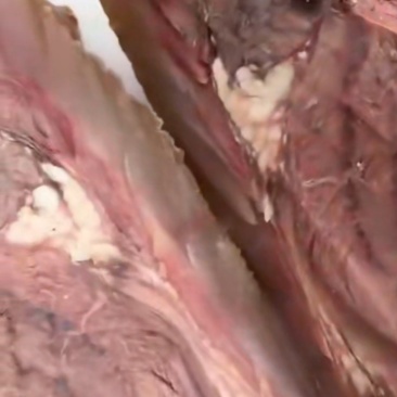 牛头肉