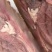 牛头肉