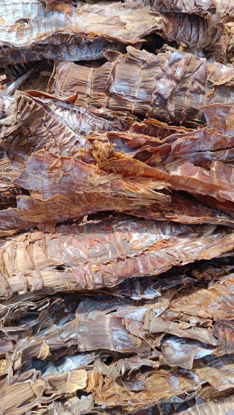 年味不腻，全靠笋干！高纤维刮油解腻，天然鲜爽护肠胃