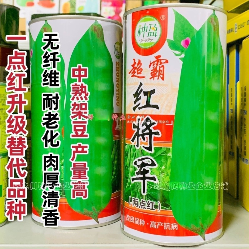 东北超霸红将军油豆种子四季豆角种籽大号高产北方两点红架豆