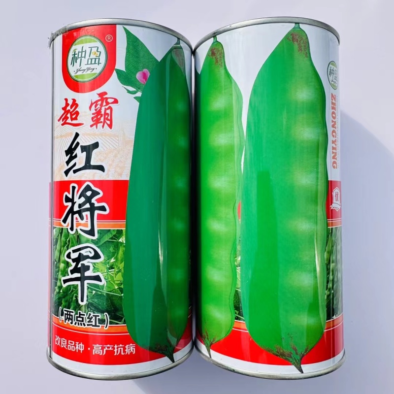 东北超霸红将军油豆种子四季豆角种籽大号高产北方两点红架豆