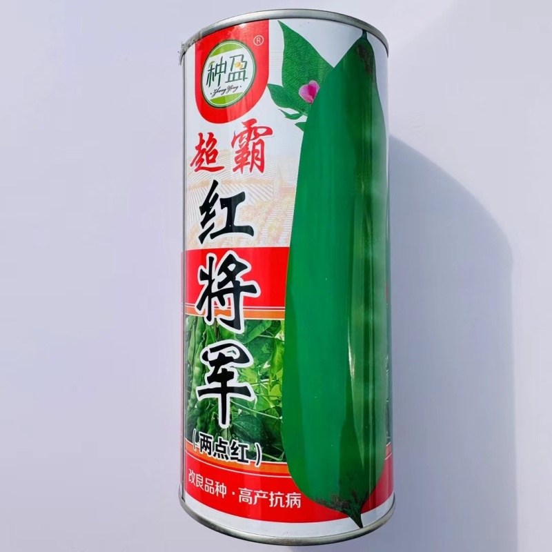 东北超霸红将军油豆种子四季豆角种籽大号高产北方两点红架豆