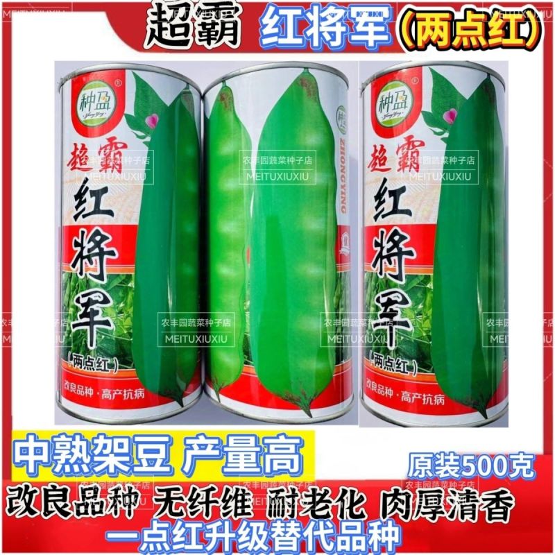 东北超霸红将军油豆种子四季豆角种籽大号高产北方两点红架豆