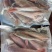 新鲜海鱼红娘鱼红绣鞋鱼去头去内脏食堂专用食材商用海鲜批发