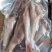 新鲜海鱼红娘鱼红绣鞋鱼去头去内脏食堂专用食材商用海鲜批发
