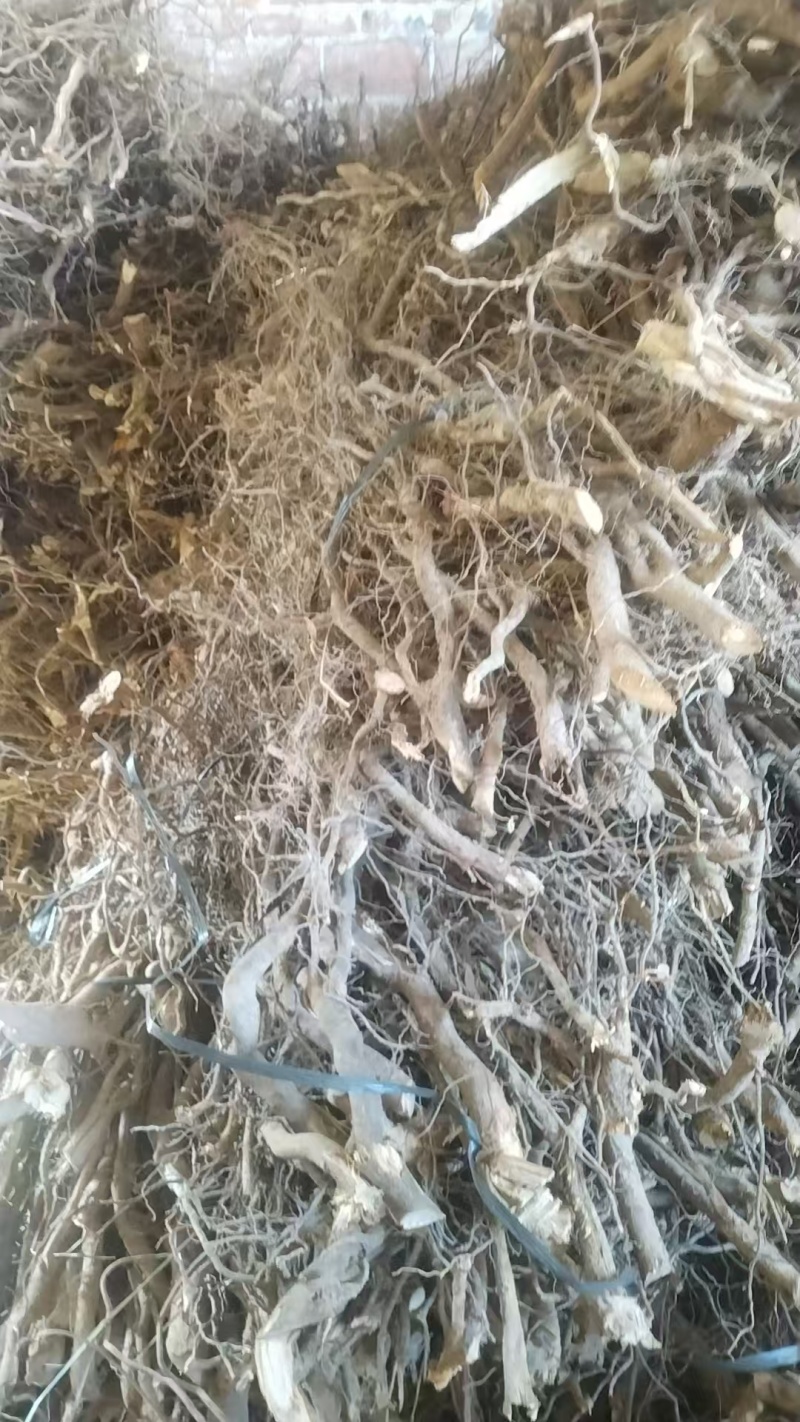 药材