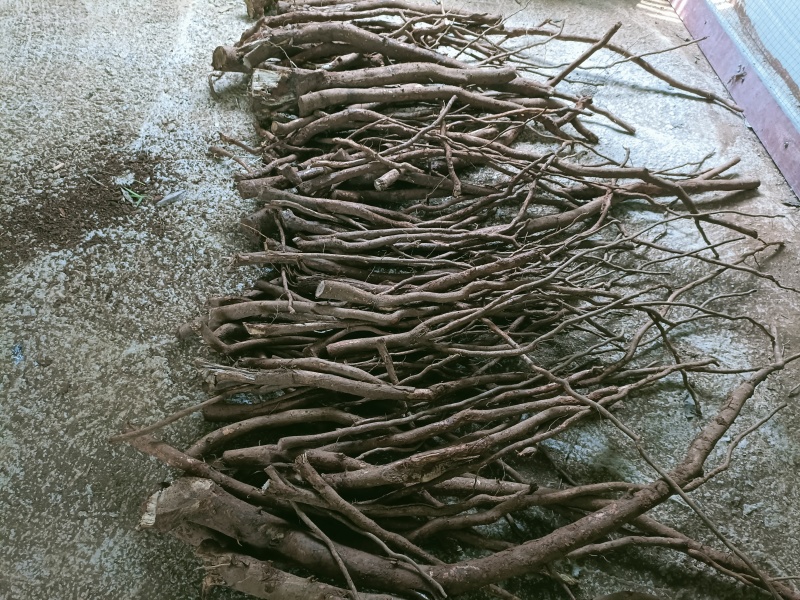 药材