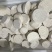 正宗芋头广西桂林荔浦槟榔芋现挖现发包粉包糯