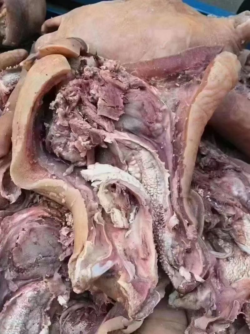 精品牛头肉