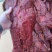 【熟牛肉】麻辣大块肉五香大块肉