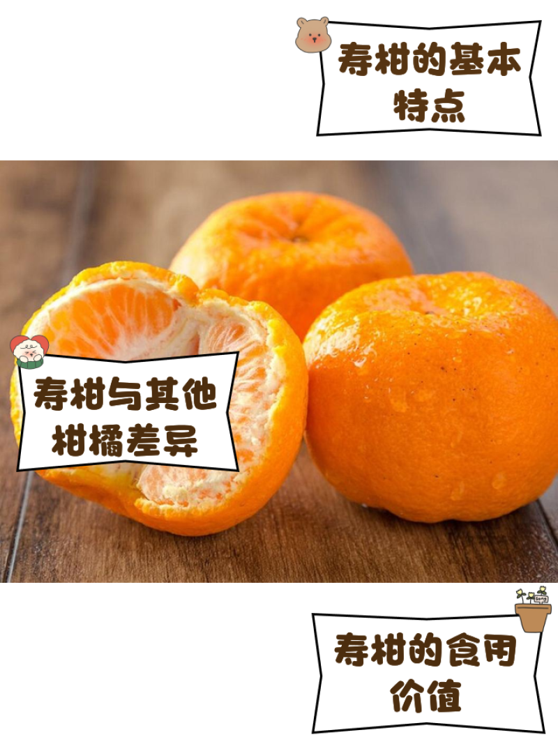 寿柑：果皮桔红色、薄而光滑，果肉橙红细嫩，汁多味甜