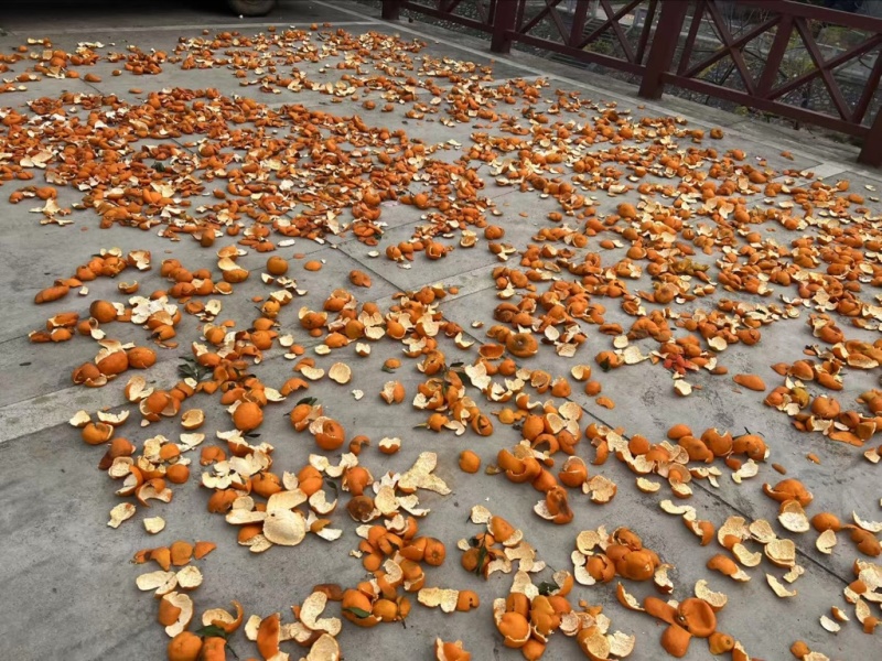 湖南本地中药材陈皮量大价优/可煲汤、欢迎咨询