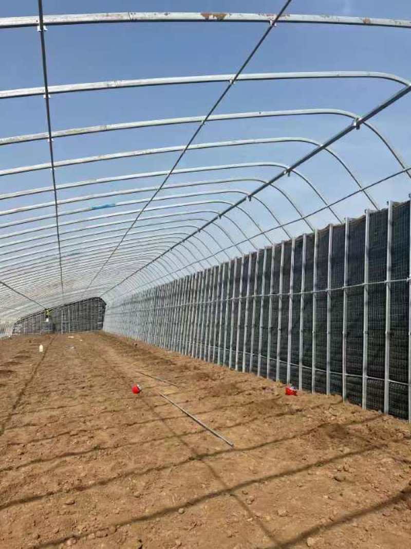 厂家直销蔬菜暖棚果木暖棚拱形暖棚定尺定做