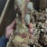 五香排骨，牛肉风味排骨，适合地摊，展会，集市，熟食店