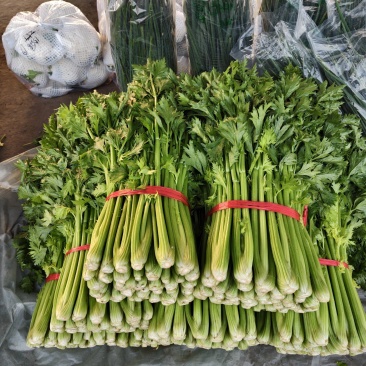 芹菜大量有货走货中～