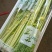 寿光桂河芹菜苗桂河芹菜产地直发奶油芹菜超市市场批发