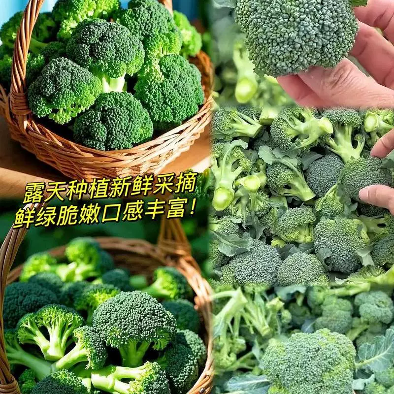 绿翡翠西兰花一手货源**超市店商平台批发市场供应链